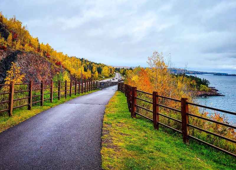 a path leading to the water with fall foliage on the side