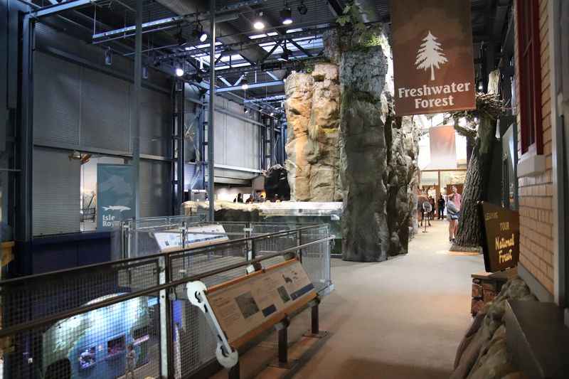 a large rock in a indoor pool