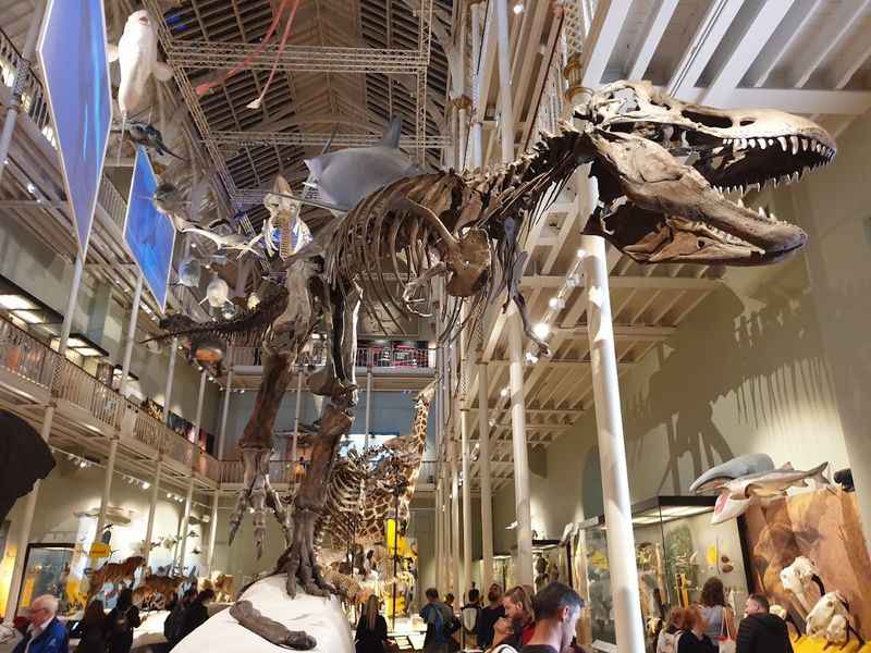 National Museum of Scotland