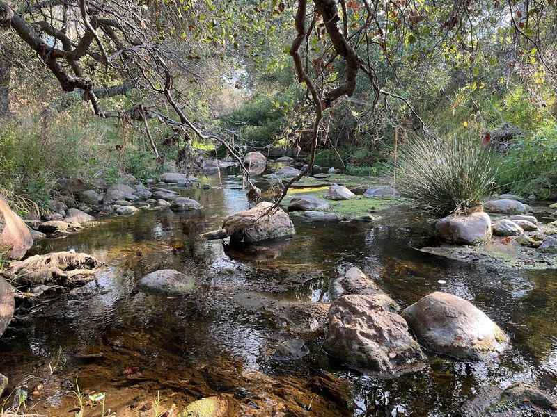 Elfin Forest Recreational Reserve