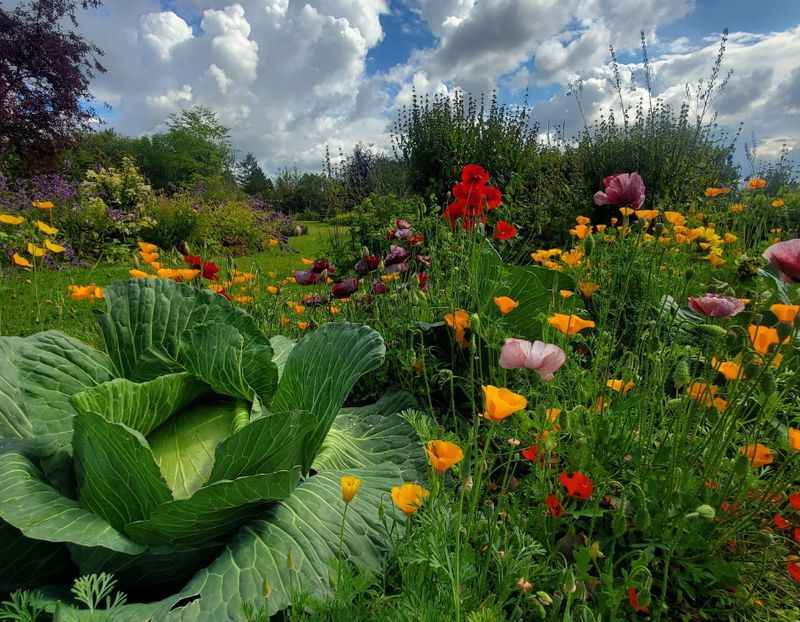 Georgeson Botanical Garden