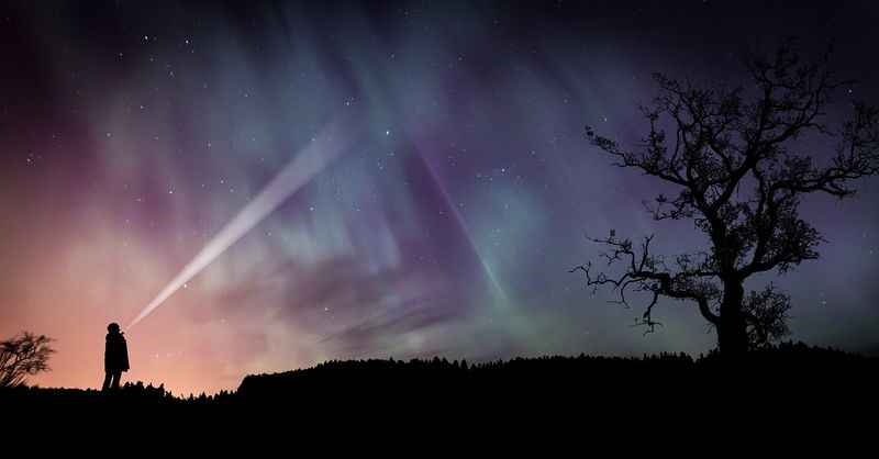 Stargazing at Hugh Taylor Birch State Park