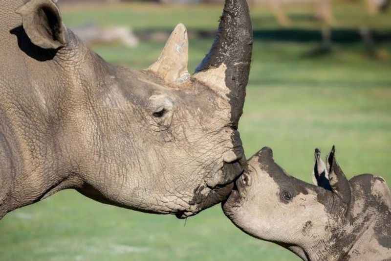 Fresno Chaffee Zoo