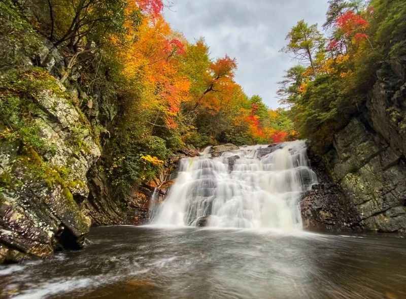 Laurel Falls Trail