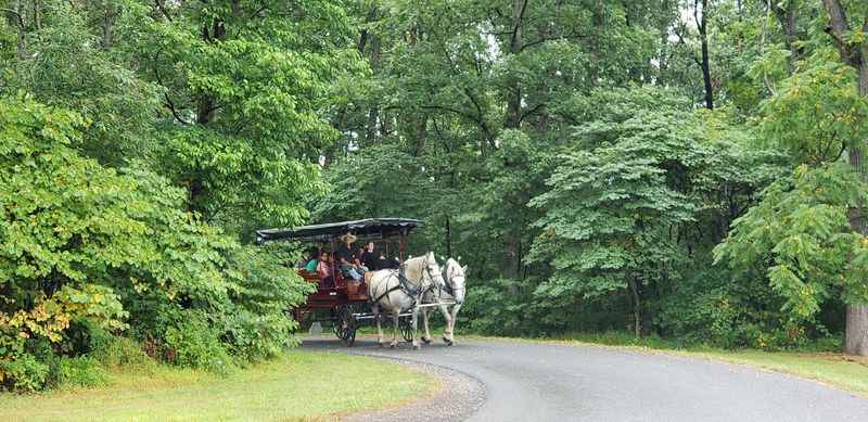 a horse drawn carriage on a country road