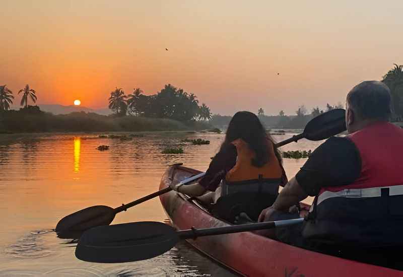 Backwaters, South Goa