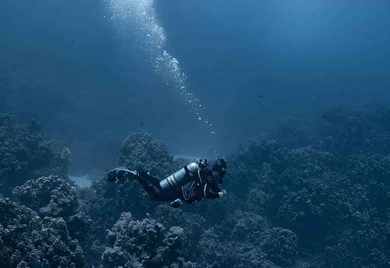 Grand Island Diving