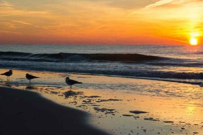 Bon Secour National Wildlife Refuge