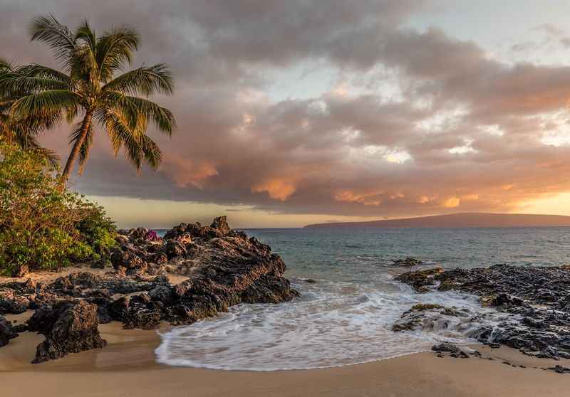 a beach with palm trees and a sunset