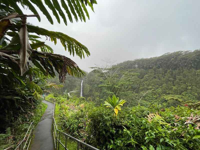 Akaka Falls State Park