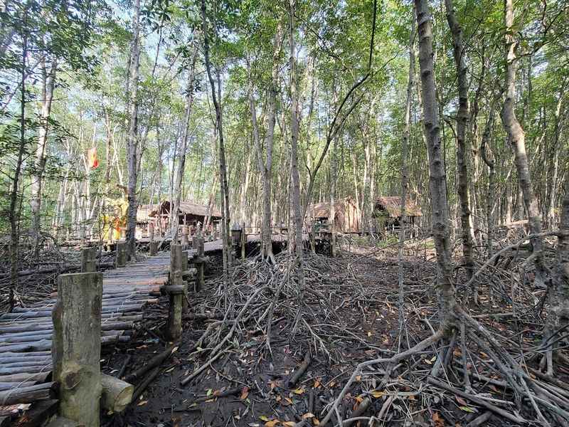 Can Gio Mangrove Forest