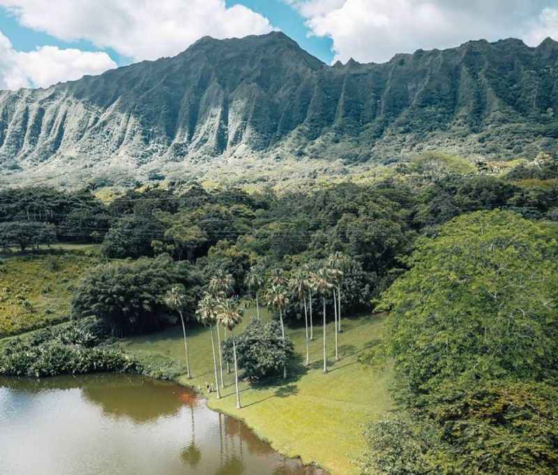 view of mountain covered with green near the lake