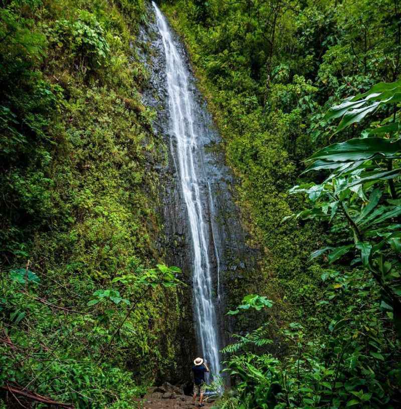 Manoa Falls