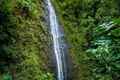 Manoa Falls