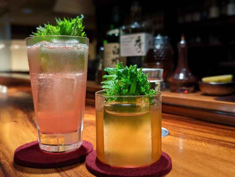 two glasses of cocktail on a bar