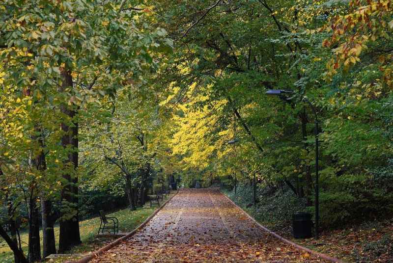 Grand Promenade