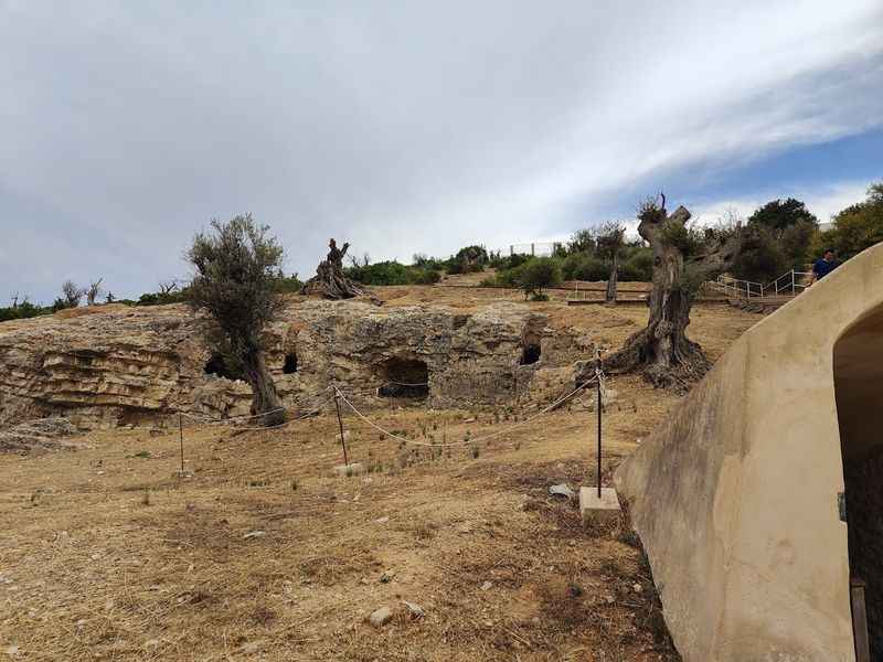 Puig des Molins Museum and Archaeological Site