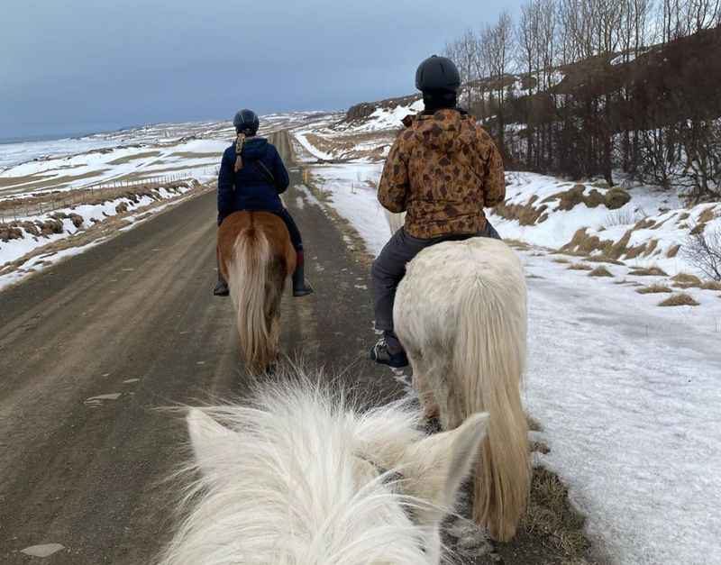 Icelandic Horseback Ride