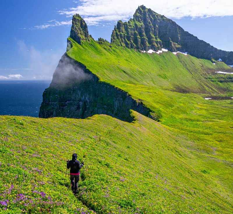 Hornstrandir Nature Reserve