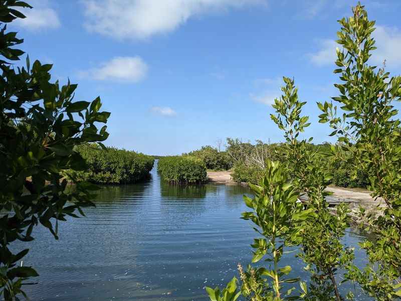 Green Turtle Hammock Nature Preserve