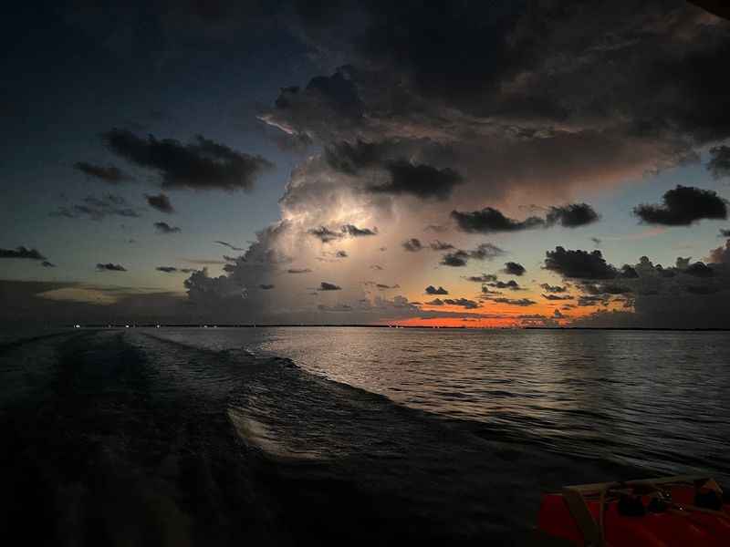 Boat Tour