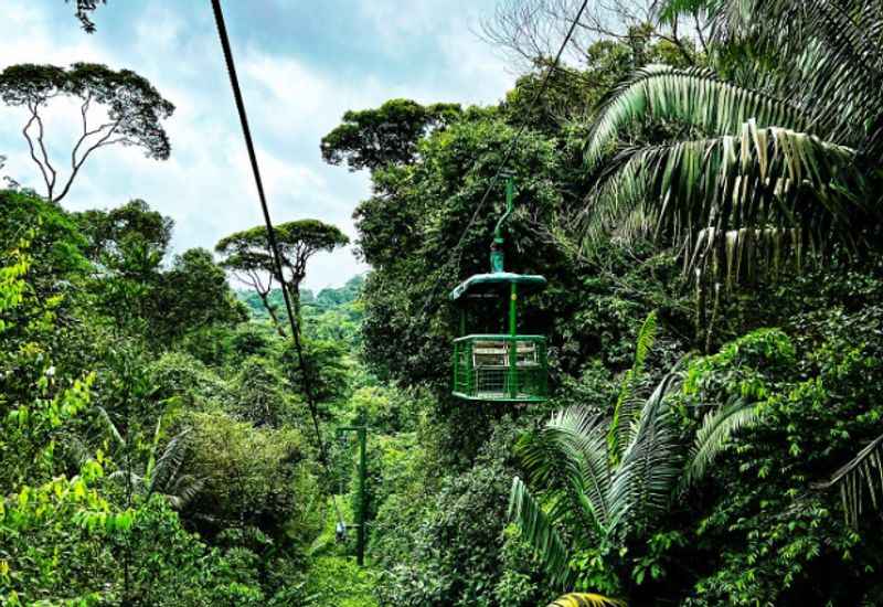 Aerial Tram Experience