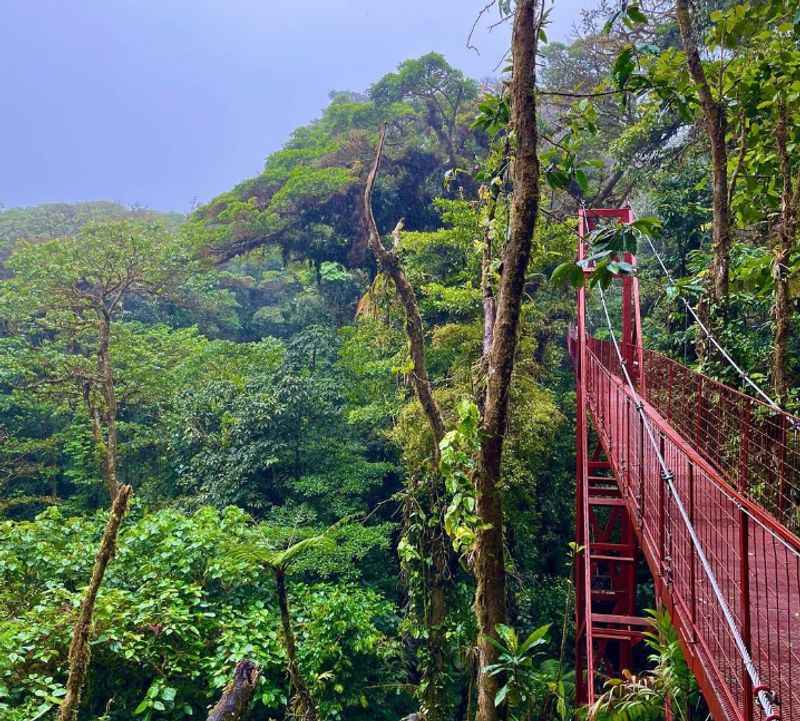 Monteverde Cloud Forest Reserve