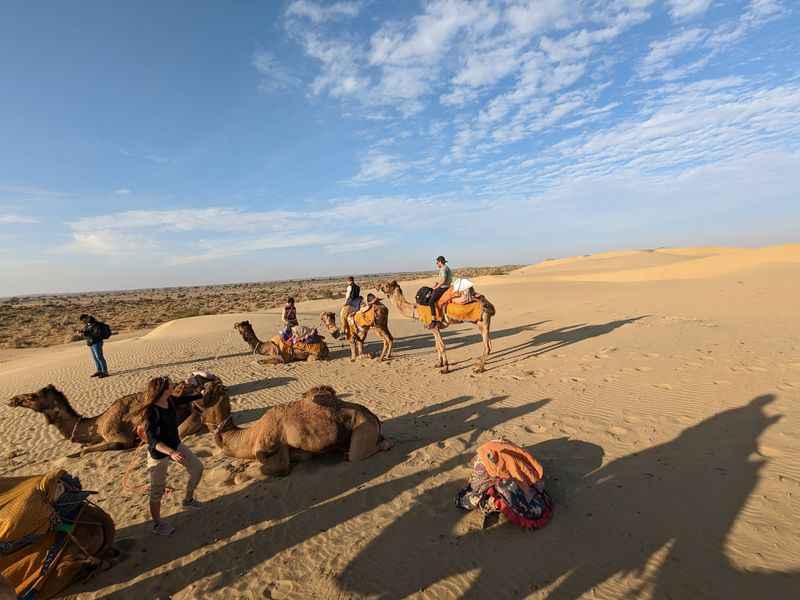 Camel Safari