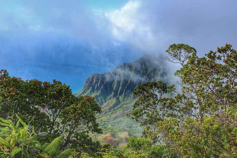 Wild NaPali Coast from the Kalalau Lookout