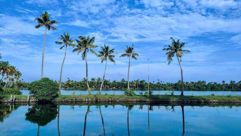 Kumbalangi eco tourism destination - Kerala Travels