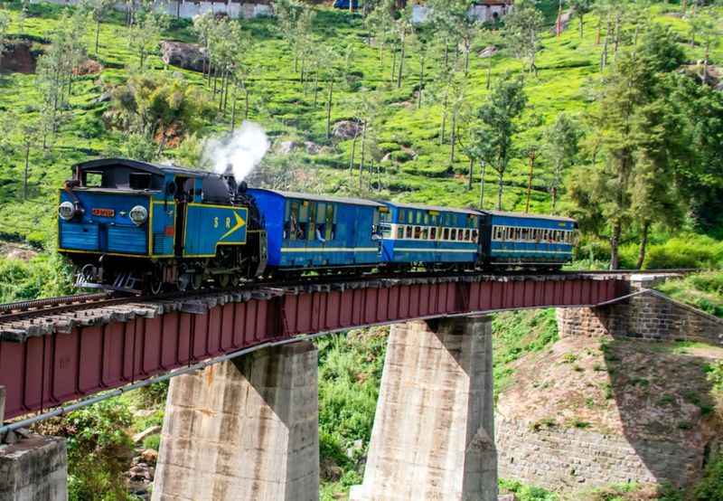 Scenic Train Ride