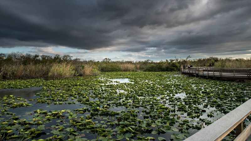 Everglades National Park