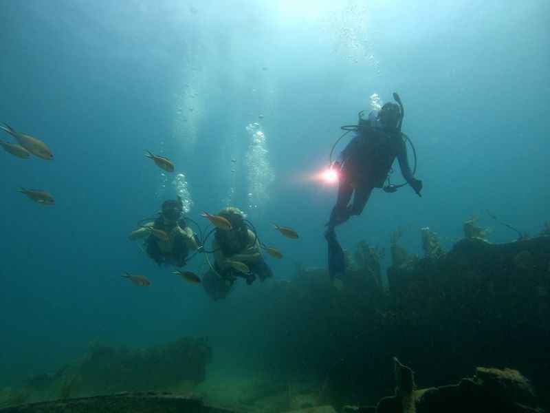 Snorkeling Adventures in Key Largo Florida