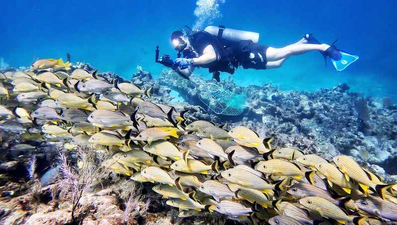 Key Largo's Colorful Coral Reef