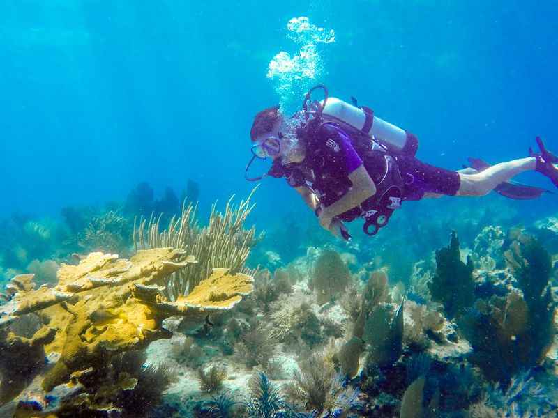 Sea Dwellers Dive Center of Key Largo
