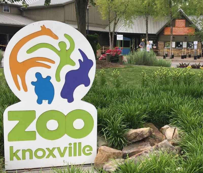 Zoo Knoxville