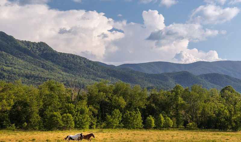 The Great Smoky Mountains National Park