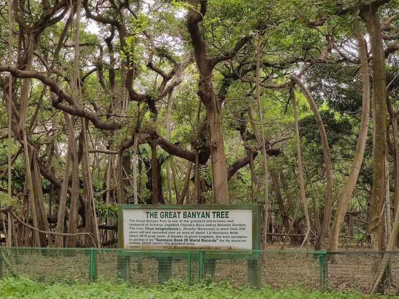 Acharya Jagadish Chandra Bose Indian Botanic Garden