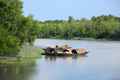 Sundarbans National Park