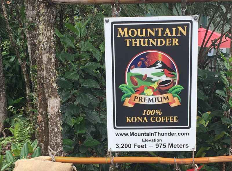 Mountain Thunder Coffee Plantation