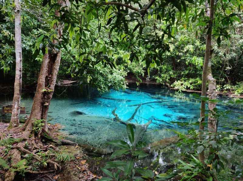 Thung Teao Forest Natural Park