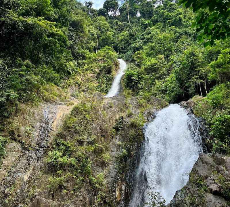 Khao Phanom Bencha National Park