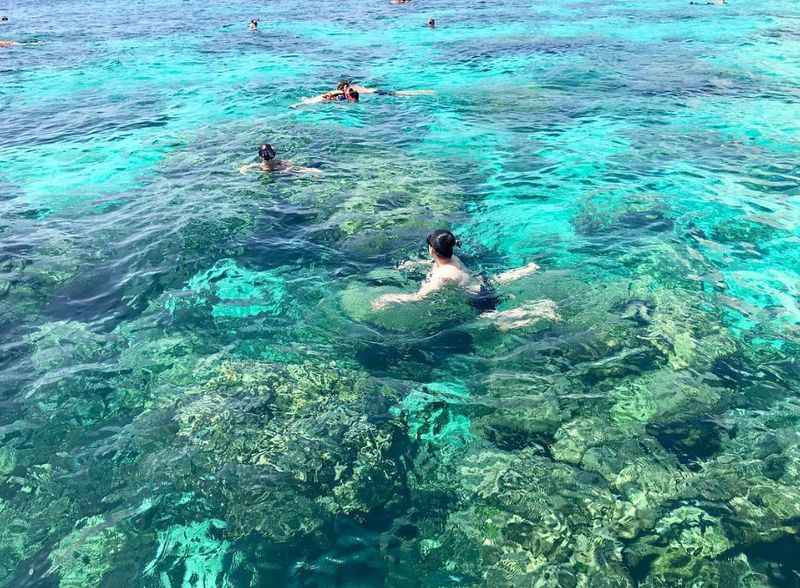 Coral Reefs of Princess Cave