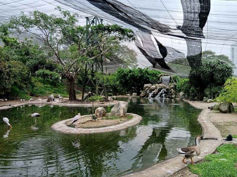 Kuala Lumpur Bird Park