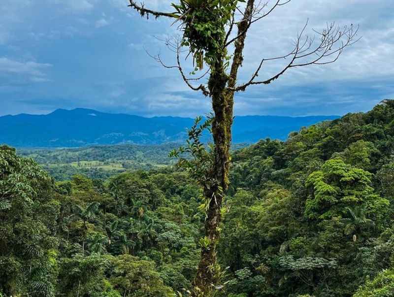 Ziplining in La Fortuna, Costa Rica