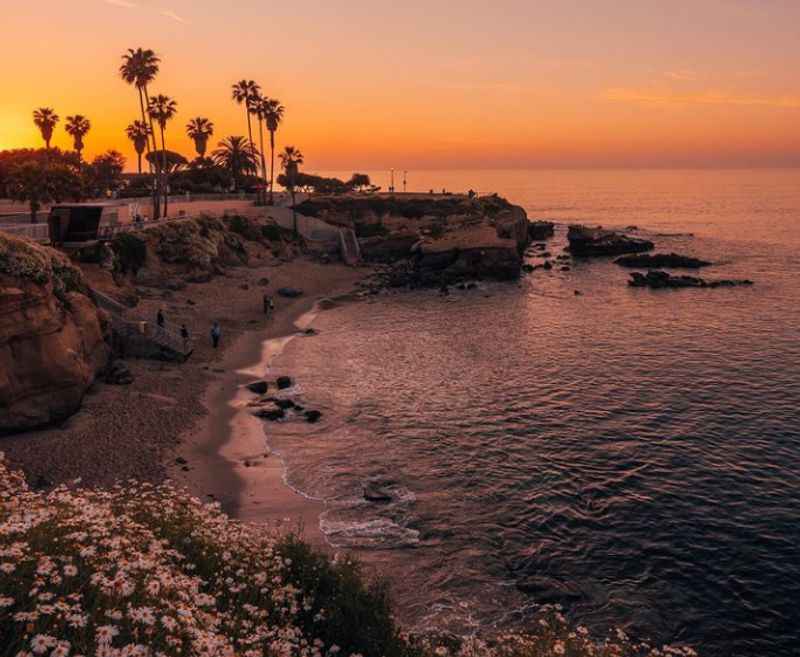 Best Things to Do in La Jolla at Night