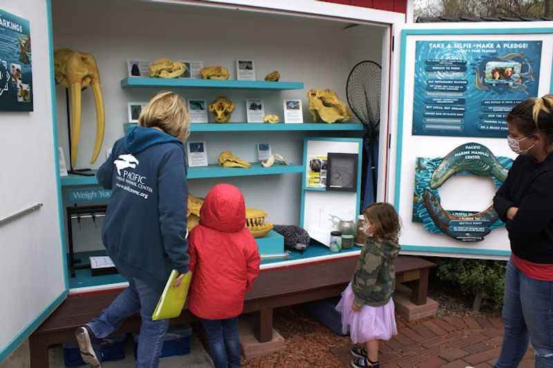 Pacific Marine Mammal Center