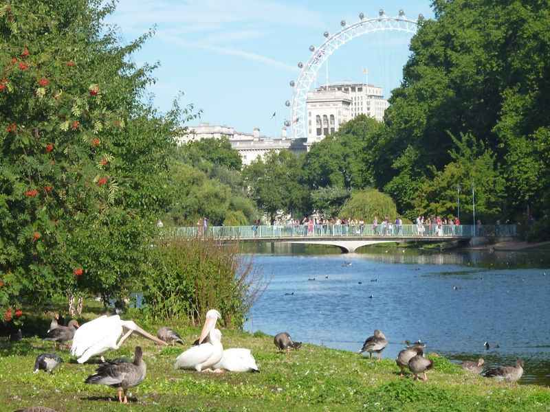 St. James's Park