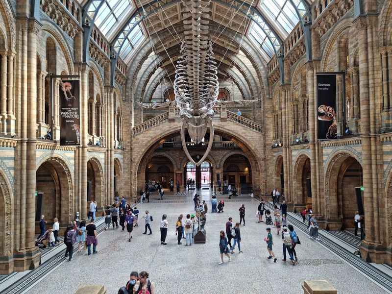 The Natural History Museum in London