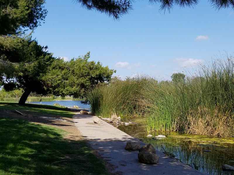 a path through a lake with a bench